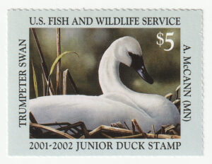 State Hunting Permit, Trumpeter Swan