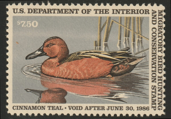 Federal Duck Stamp - Cinnamon Teal