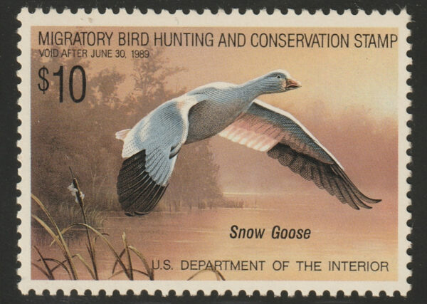 1988 Federal Duck Stamp - Snow Goose – $10.00