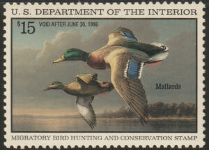 Federal Duck Stamp - Mallards