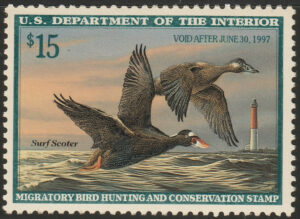 Federal Duck Stamp - Surf Scooter