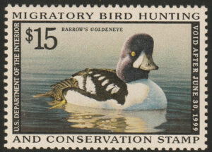 Federal Duck Stamp - Barrow's Goldeneye