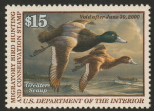 Federal Duck Stamp - Greater Scaup