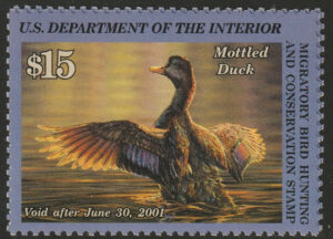 Federal Duck Stamp - Mottled Duck