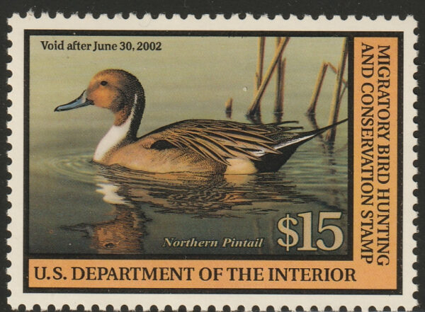 Federal Duck Stamp - Northern Pintail