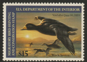 Federal Duck Stamp - Black Scoter