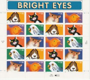 Bright Eyes