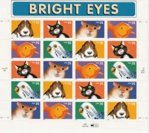 Bright Eyes