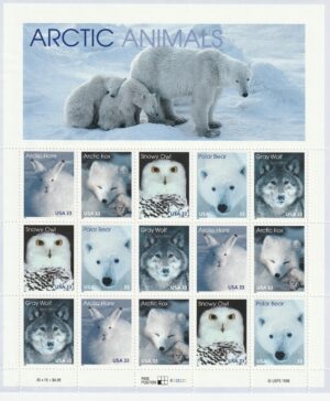 Arctic Animals