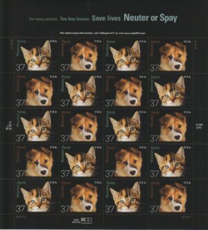 Neuter and Spay