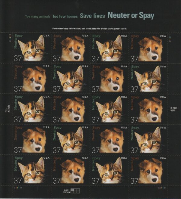 Neuter and Spay