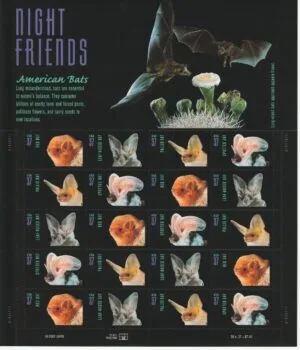 American Bats