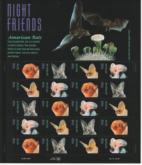 American Bats