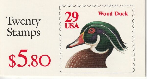 Wood Duck